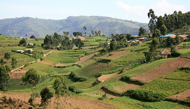 Kilimo Bunifu workshop — agro-ecological farming